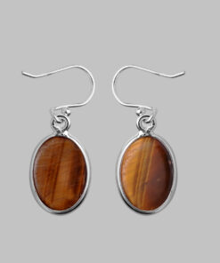 Silver Earring With Tiger Eye
