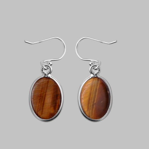 Silver Earring With Tiger Eye
