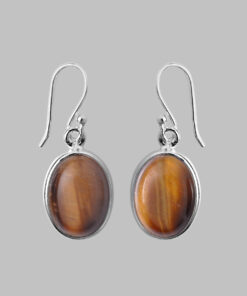 Silver Earring With Tiger Eye