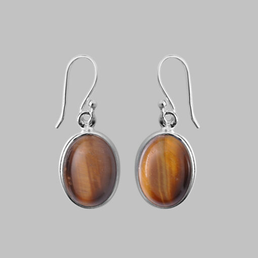 Silver Earring With Tiger Eye