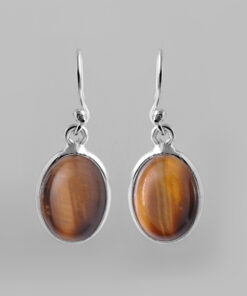 Silver Earring With Tiger Eye