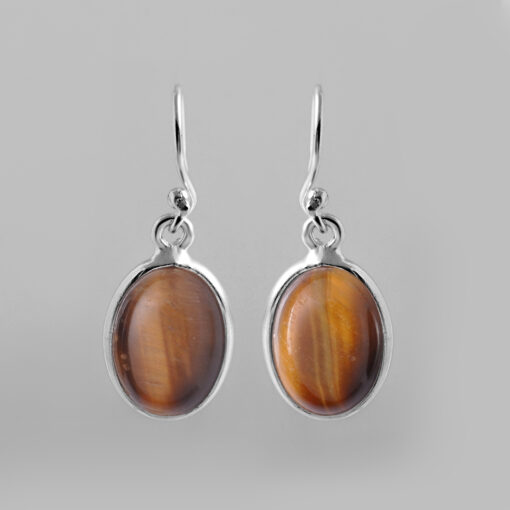 Silver Earring With Tiger Eye